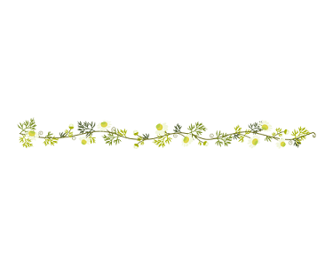 21b08d31_E560937_5068523713-31-51-.png
