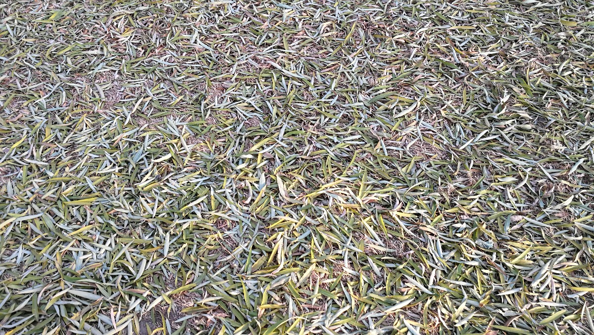 IMG_20191112_145900.jpg
