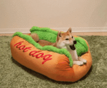 6581977409.gif