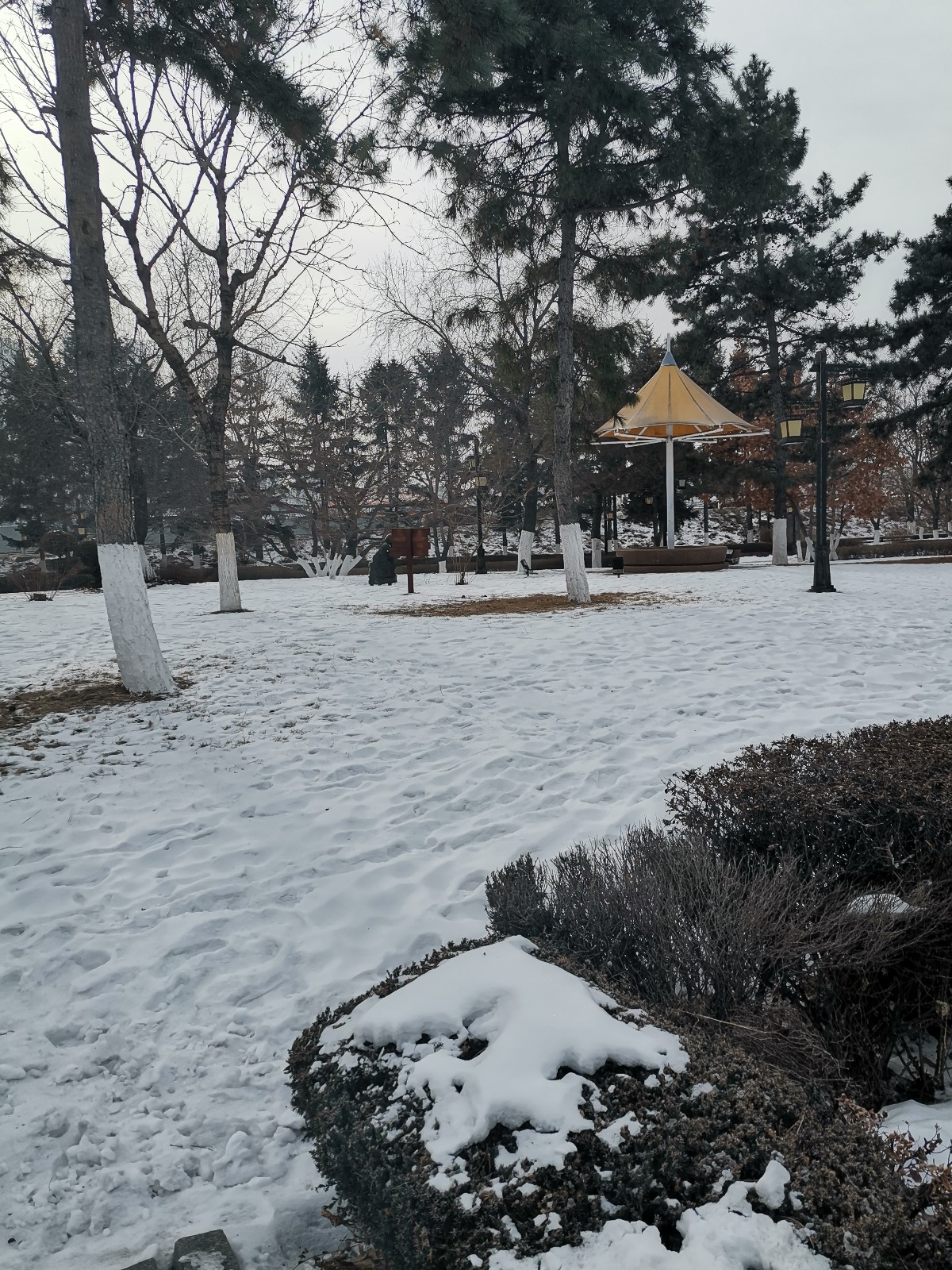 IMG_20191222_094450.jpg