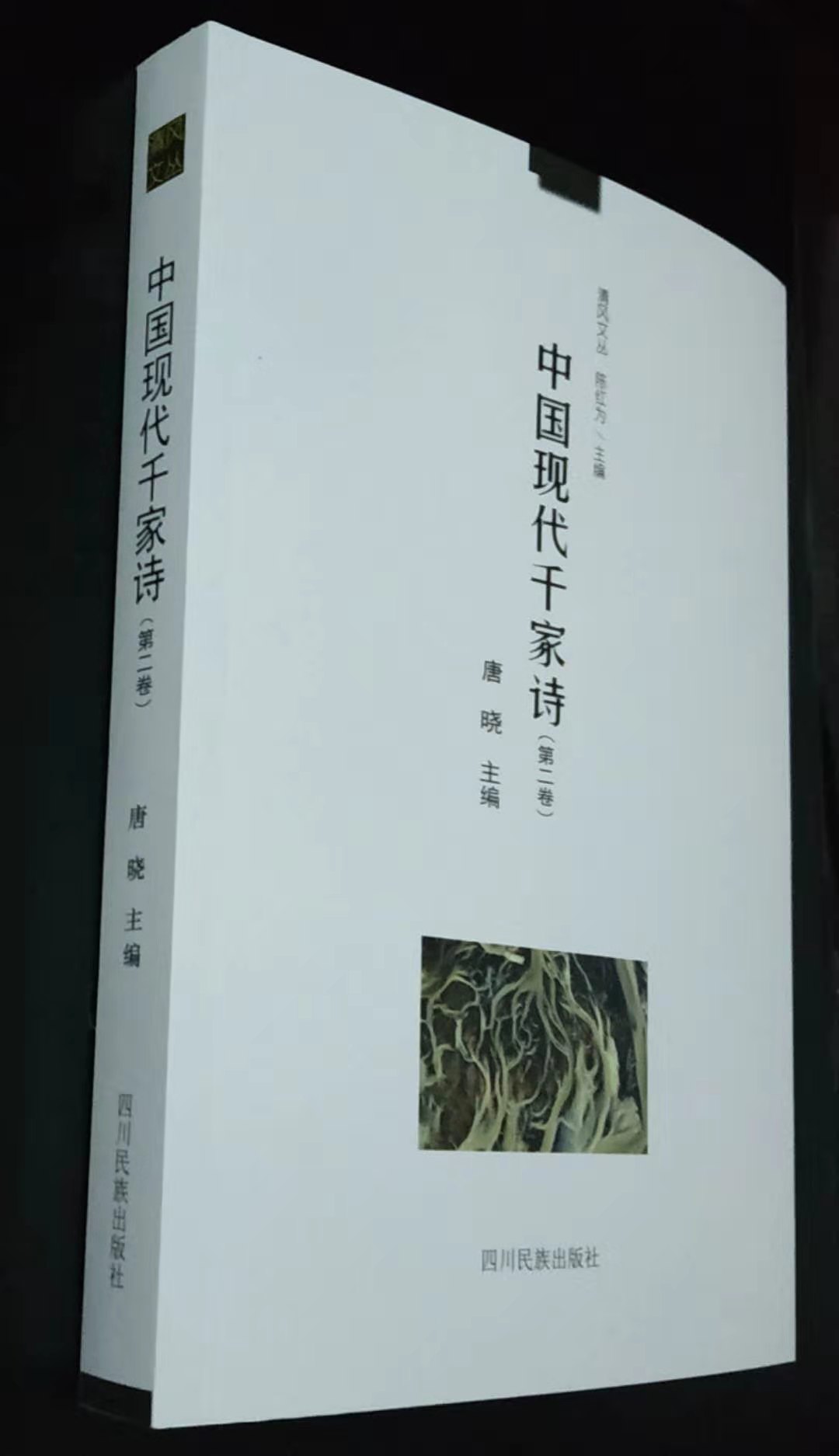 千家诗（第二卷）封面-3.jpg