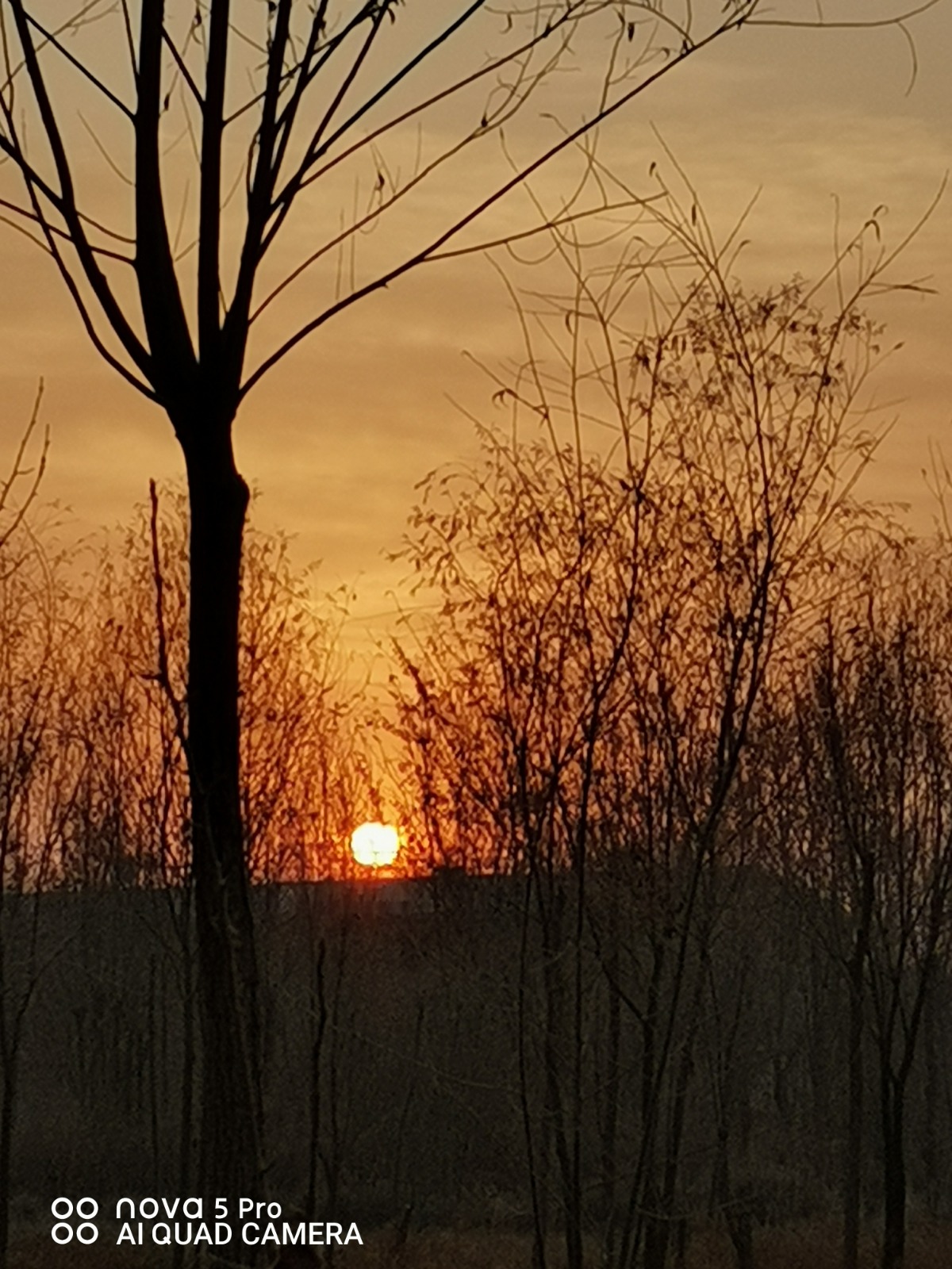 IMG_20191221_103626.jpg