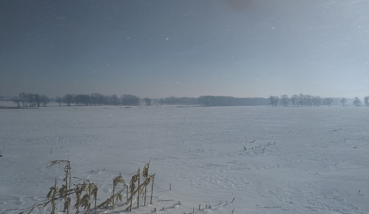 IMG_20200123_090133.jpg