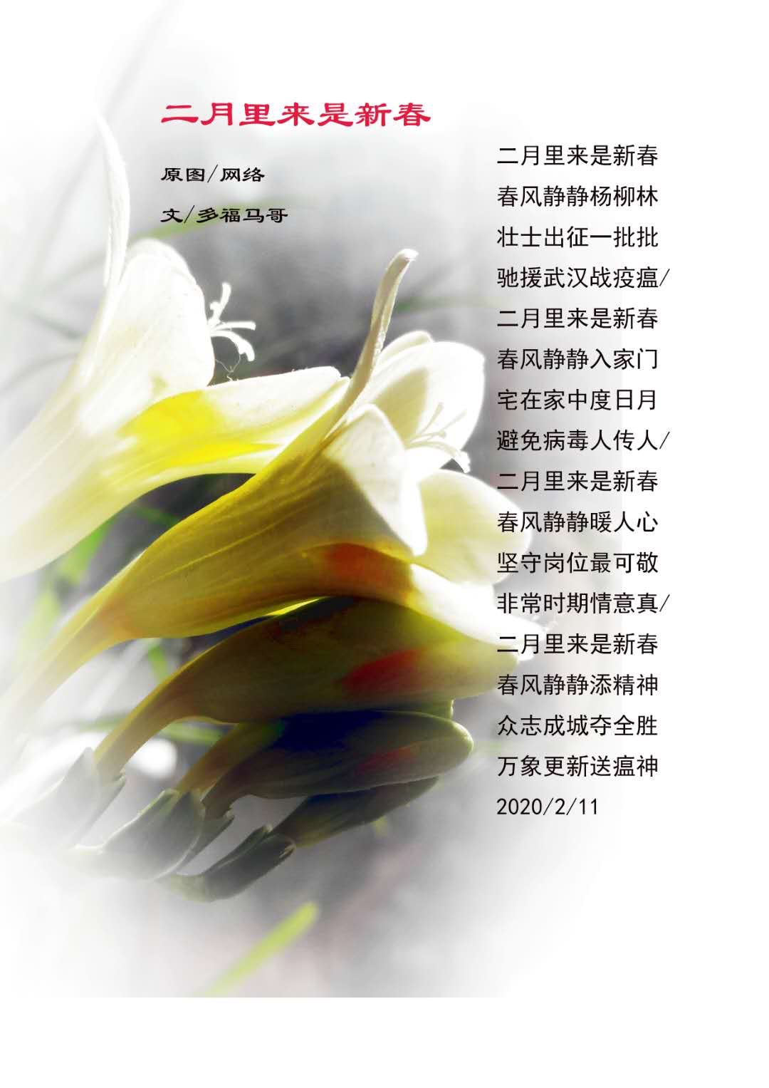 9529886F-A821-4EA3-8955-5393C5B49A2C.jpeg