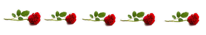 A8AFA06E-6CEC-43B9-917D-652E66946FD2.png