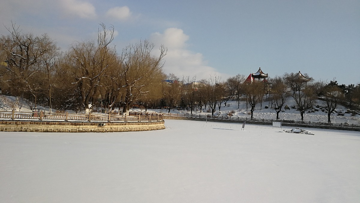 IMG_20200304_155614.jpg