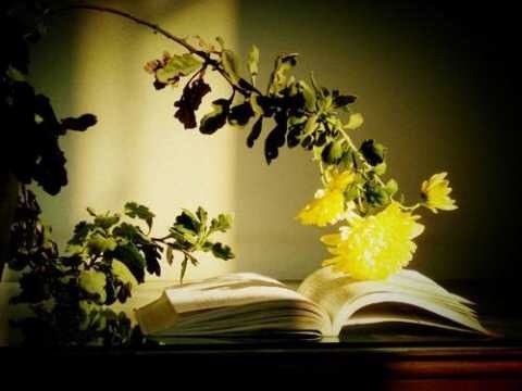 58F33CF8-A651-435E-BCEA-7EBCCBAFDB1F.jpeg
