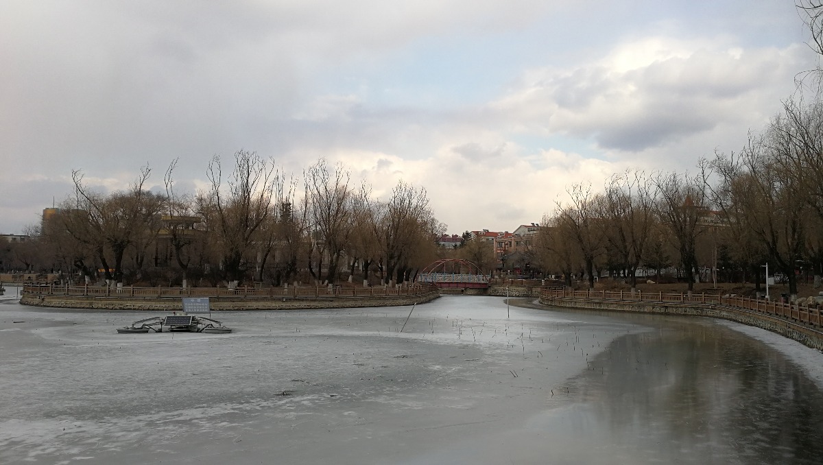 IMG_20200310_154925.jpg