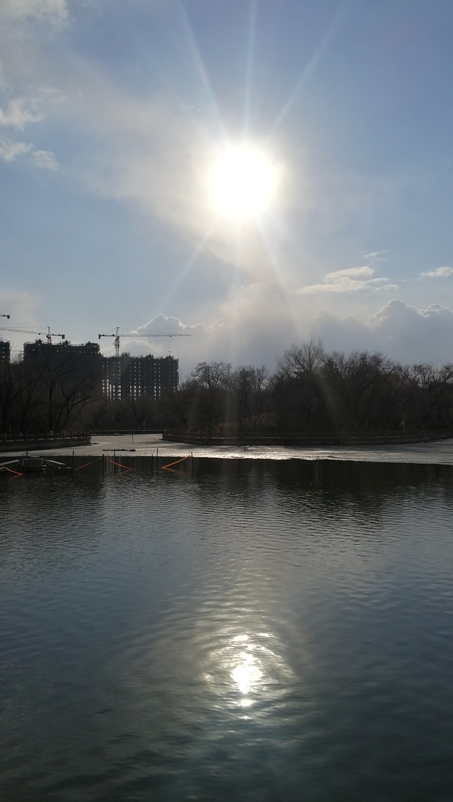IMG_20200319_155243.jpg