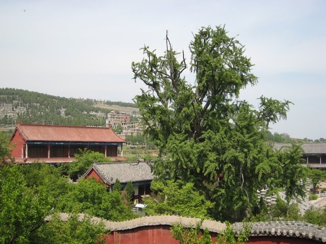 甘泉寺全景.JPG