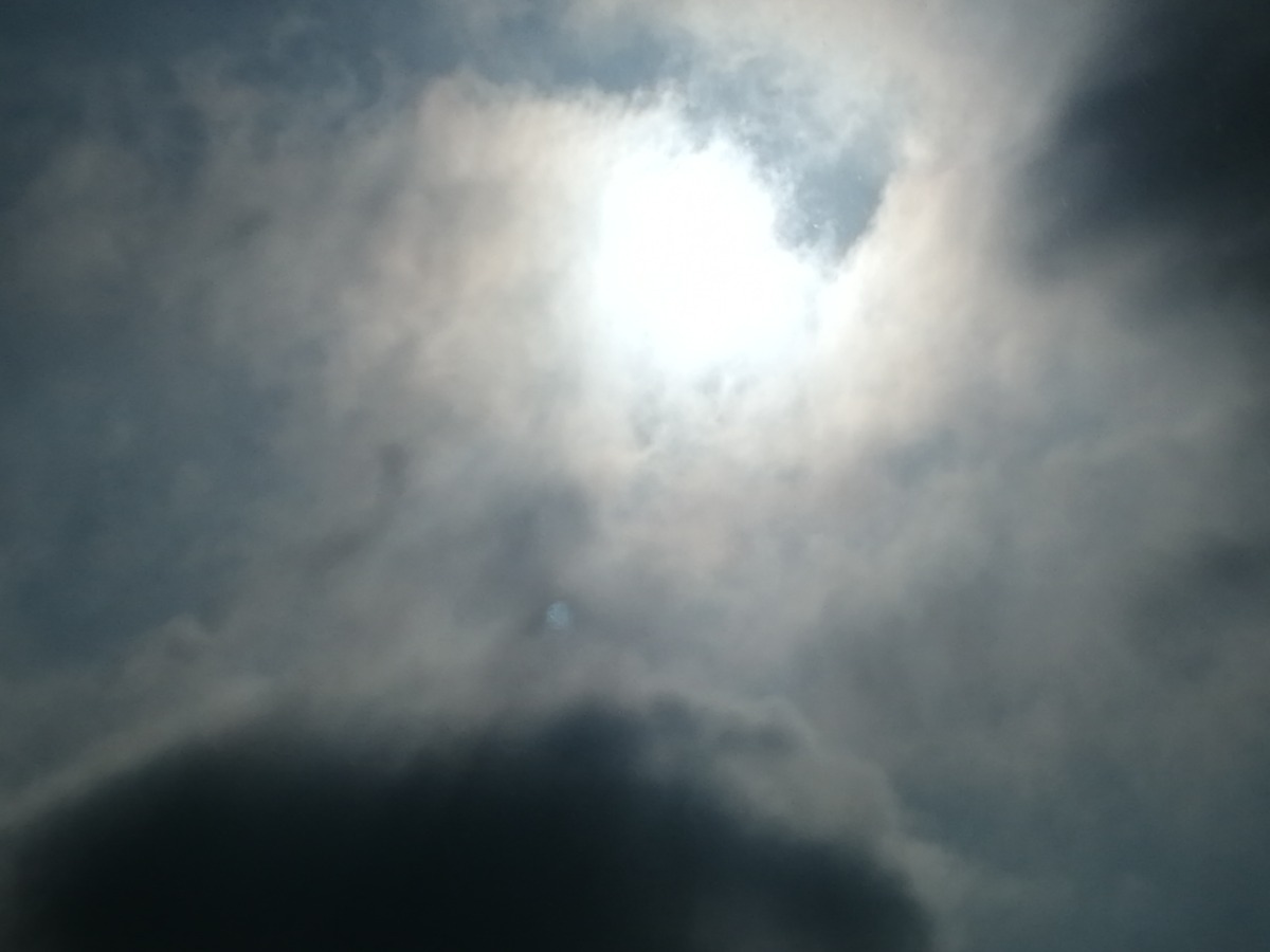 IMG_20200401_075559.jpg