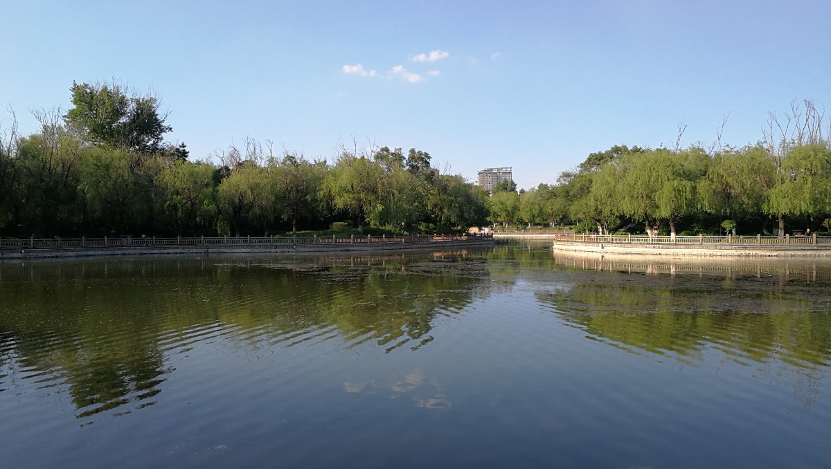 IMG_20200528_164132.jpg