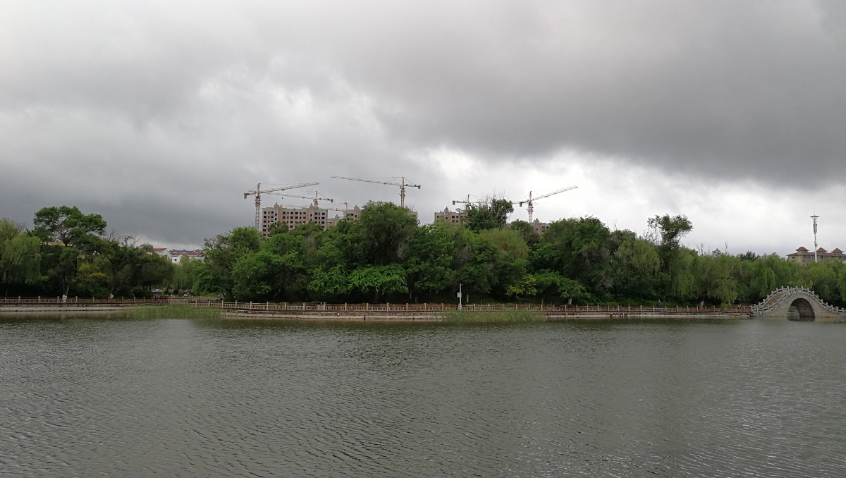 IMG_20200601_075954.jpg