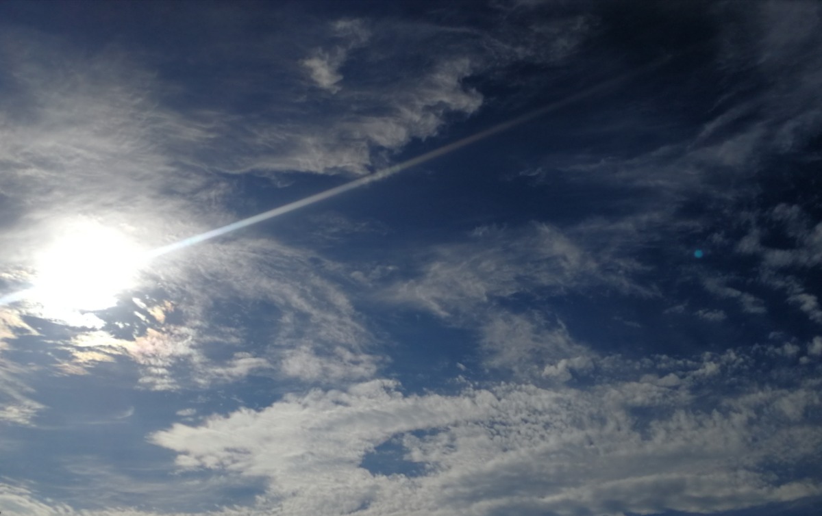IMG_20200805_163944.jpg