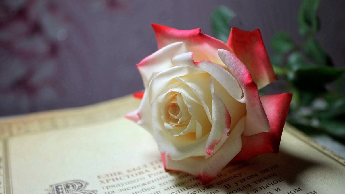 9188D382-E89C-4686-BFA7-D3B5CE19A8B0.png
