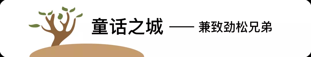 8.webp.jpg