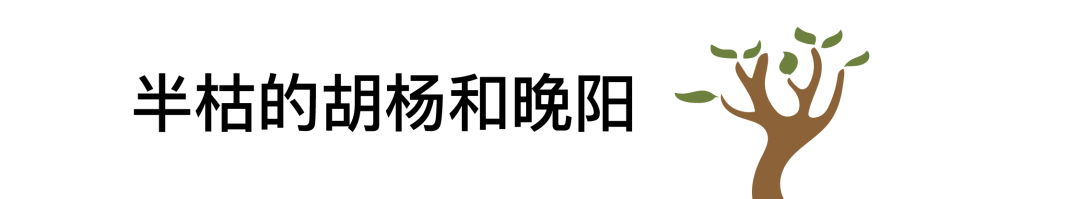 13.png