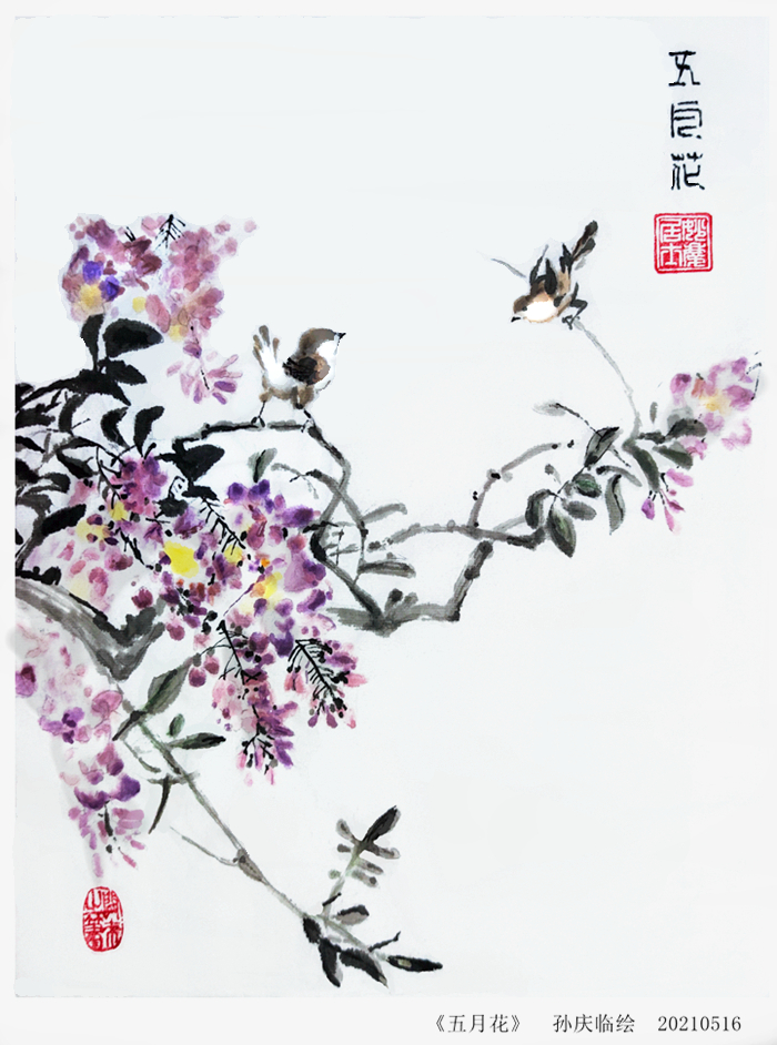 210519-五月花.jpg