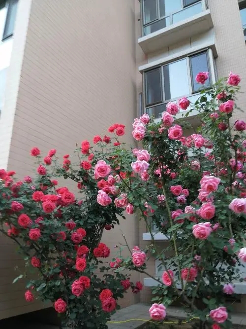 103401z4214242.jpg
